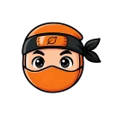 Ninja